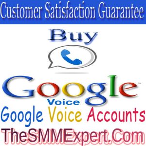 Buy Google Voice Accounts