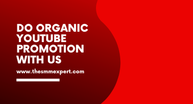 Organic Youtube Promotion