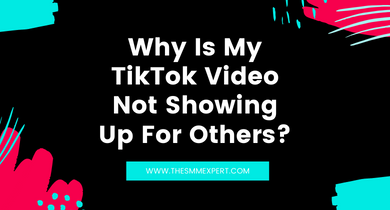 Why Is My TikTok Video Not Showing Up For Others