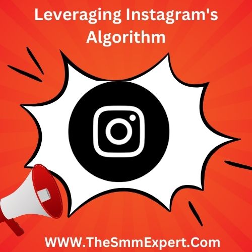 Leveraging Instagrams Algorithm