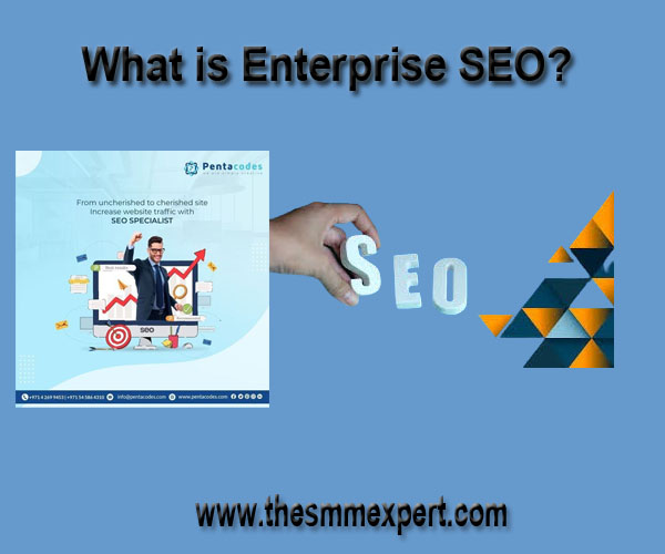 What is Enterprise SEO?