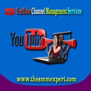 YouTube Channel Management Services